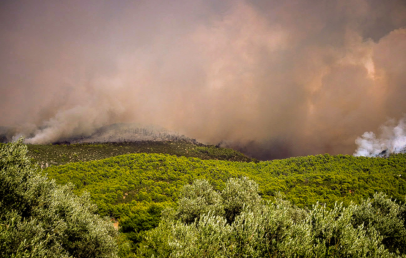 Φωτιά στην Εύβοια: Νέο μέτωπο προς τα χωριά Καμάρι και Πούρνος – Εκκενώσεις και μάχη για την προστασία των σπιτιών στο Αφράτι