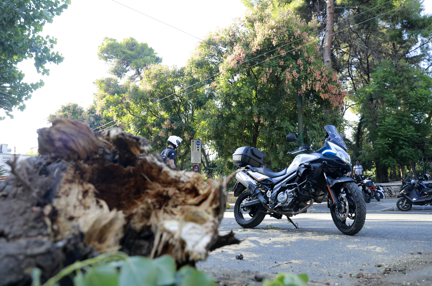 Δέντρο 20 μέτρων έπεσε πάνω σε μοτοσικλετιστή στη Λεωφόρο Αλεξάνδρας – «Για λίγα εκατοστά θα είχα σκοτωθεί»