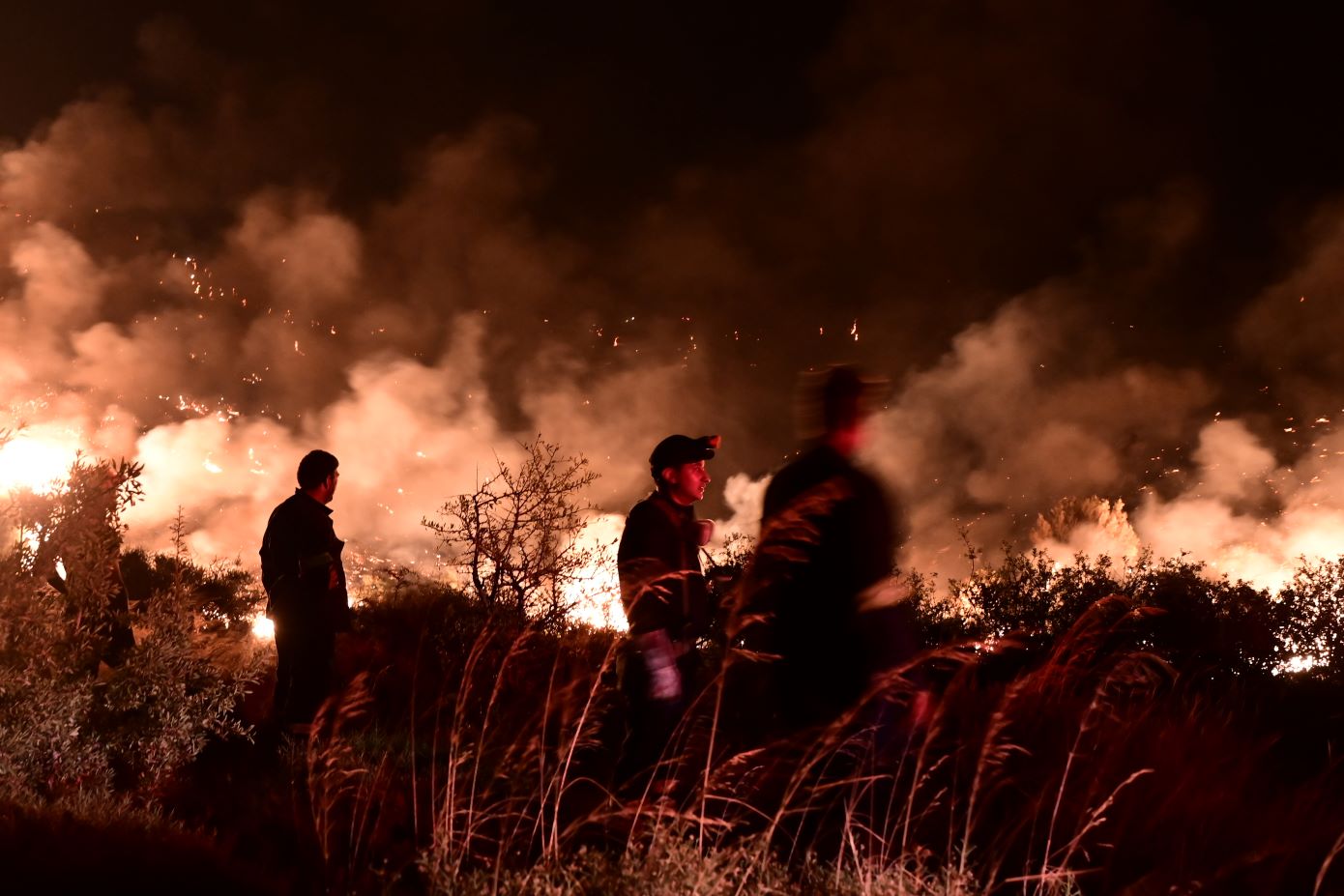 Ολονύχτια μάχη με τις φλόγες στην Εύβοια &#8211; Ξεκινούν τις ρίψεις τα εναέρια μέσα &#8211; Νέο 112 για εκκένωση