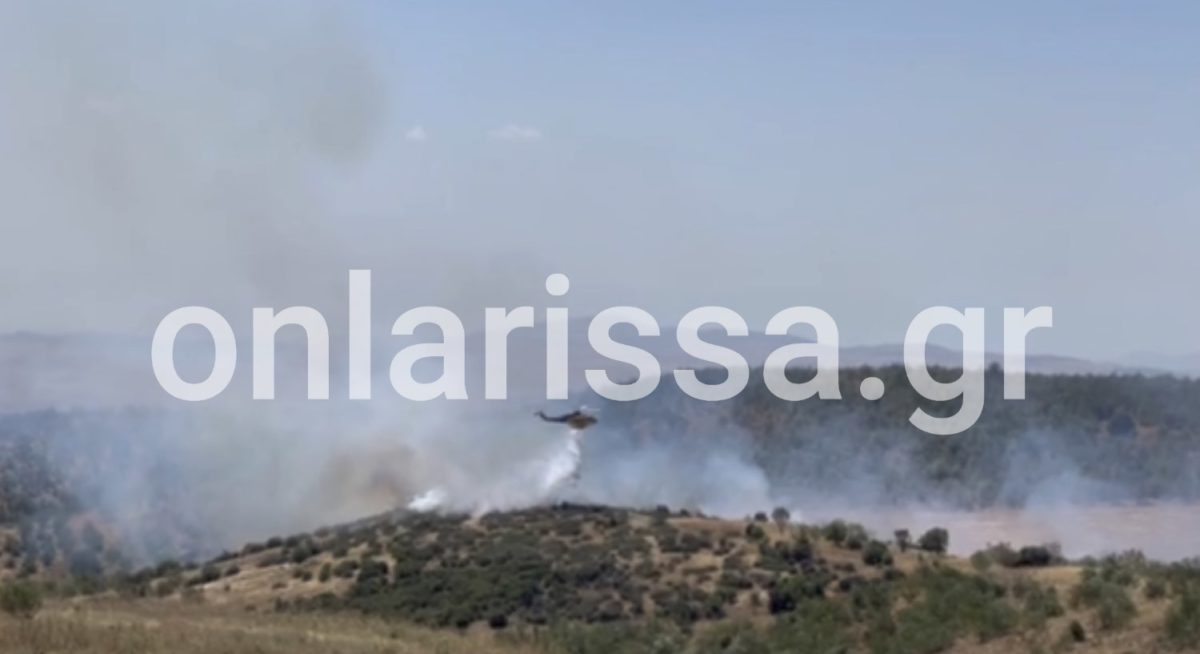 Υπό μερικό έλεγχο οι φωτιές σε Φάρσαλα και Αγιά Λάρισας &#8211; Υπό πλήρη έλεγχο η πυρκαγιά στην Ύδρα