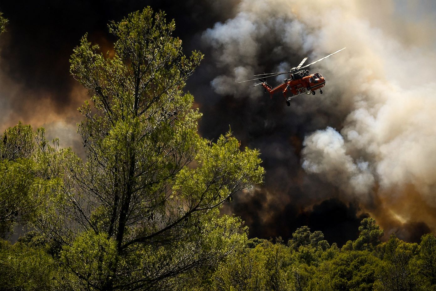 Βελτιωμένη η εικόνα της φωτιάς στο Σοφικό &#8211; «Μάχη» με διάσπαρτες εστίες από τους πυροσβέστες