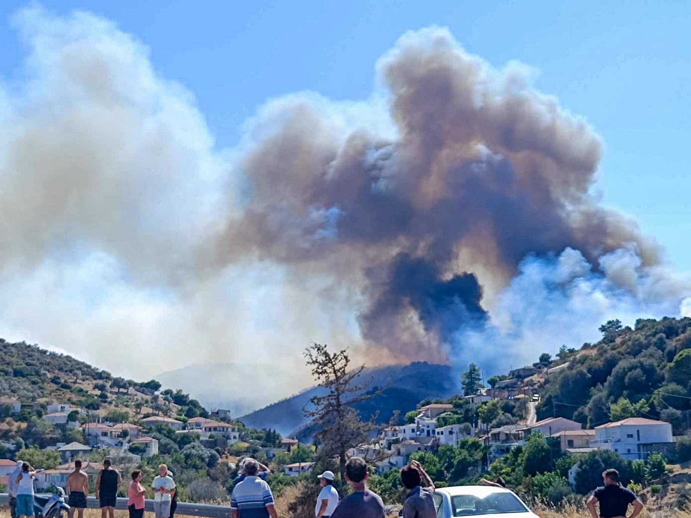 Πυρκαγιά σε δασική έκταση στα Σκούρτα Βοιωτίας