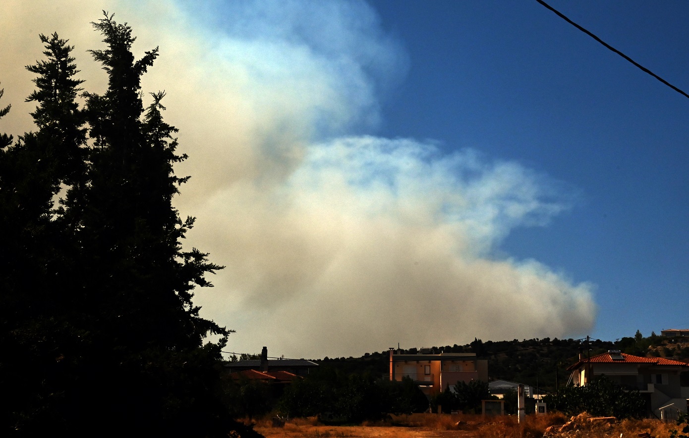 Νέο πύρινο μέτωπο &#8211; Φωτιά σε εξέλιξη στην Ερέτρια