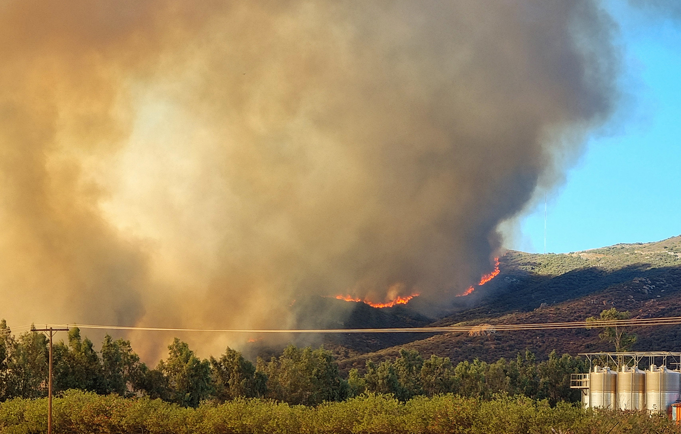 Η φωτιά στις Μουριές Κιλκίς δεν πείραξε το Δάσος των Μουριών που έχει κηρυχθεί διατηρητέο μνημείο της φύσης
