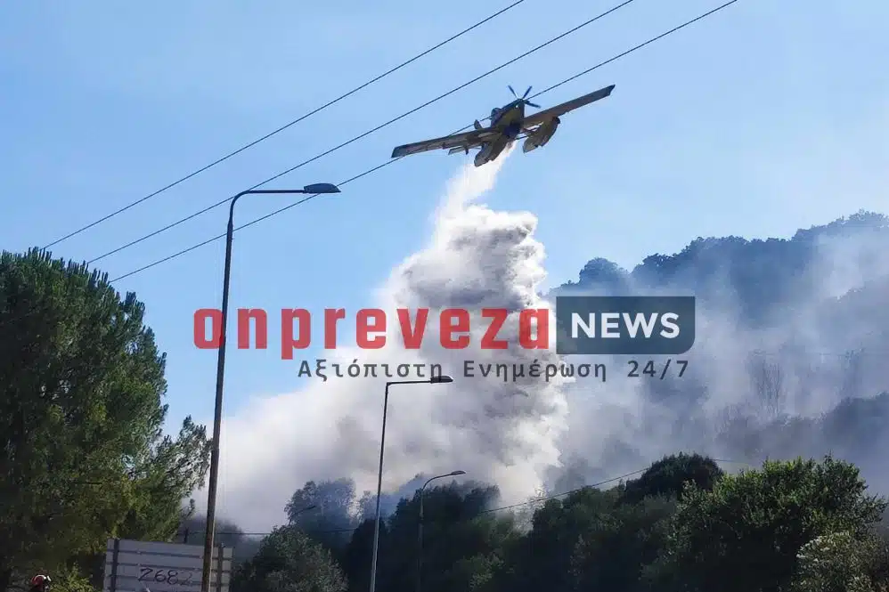 Φωτιά κοντά σε σπίτια στην Πρέβεζα – Άμεση κινητοποίηση της πυροσβεστικής