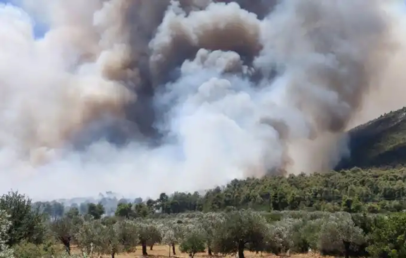 Φωτιά στις Σέρρες, καίει σε αγροτοδασική έκταση &#8211; Μήνυμα από το 112
