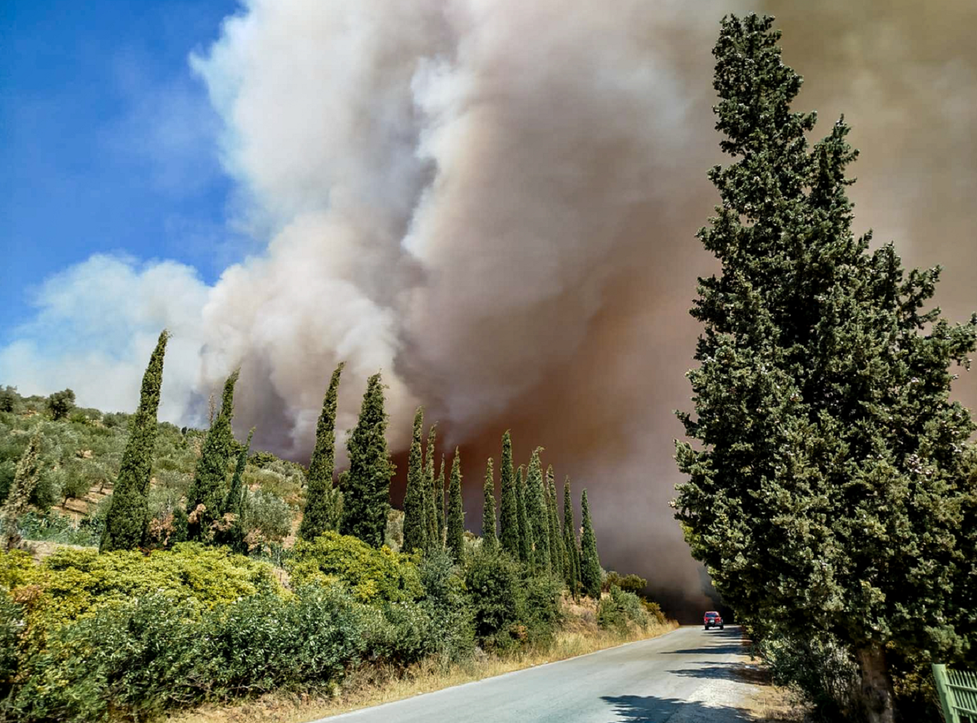 Ανεξέλεγκτη η φωτιά στην Εύβοια – Απειλούνται σπίτια, κάηκε πυροσβεστικό όχημα
