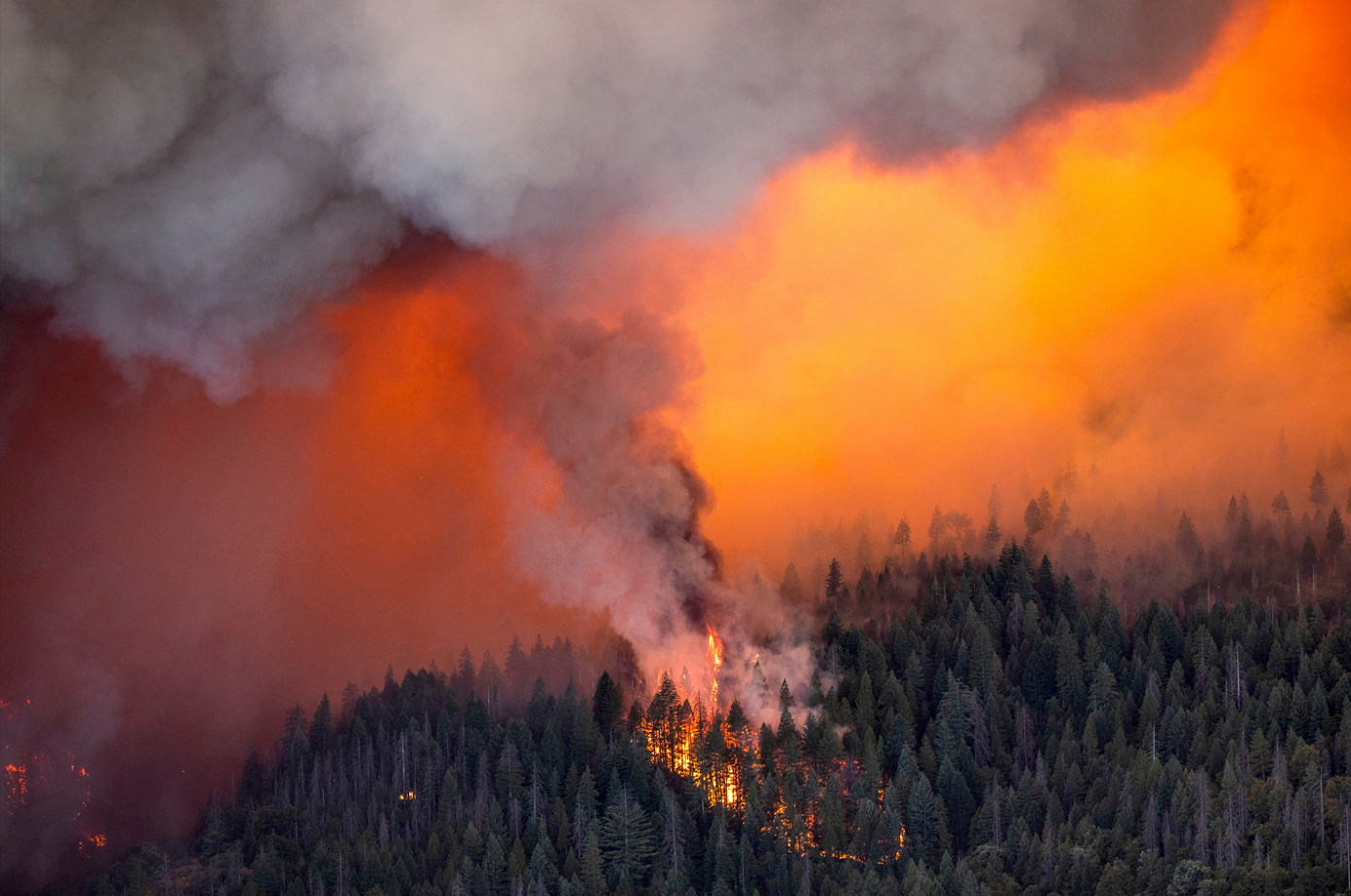 Ανεξέλεγκτη μαίνεται μεγάλη δασική φωτιά στην Καλιφόρνια των ΗΠΑ &#8211; Μια από τις μεγαλύτερες στην ιστορία