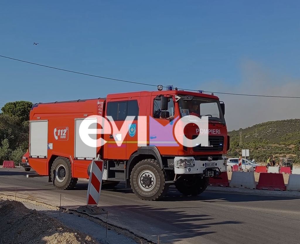 Βοηθούν στη φωτιά της Εύβοιας οι Ρουμάνοι πυροσβέστες που είχαν βοηθήσει και το 2021