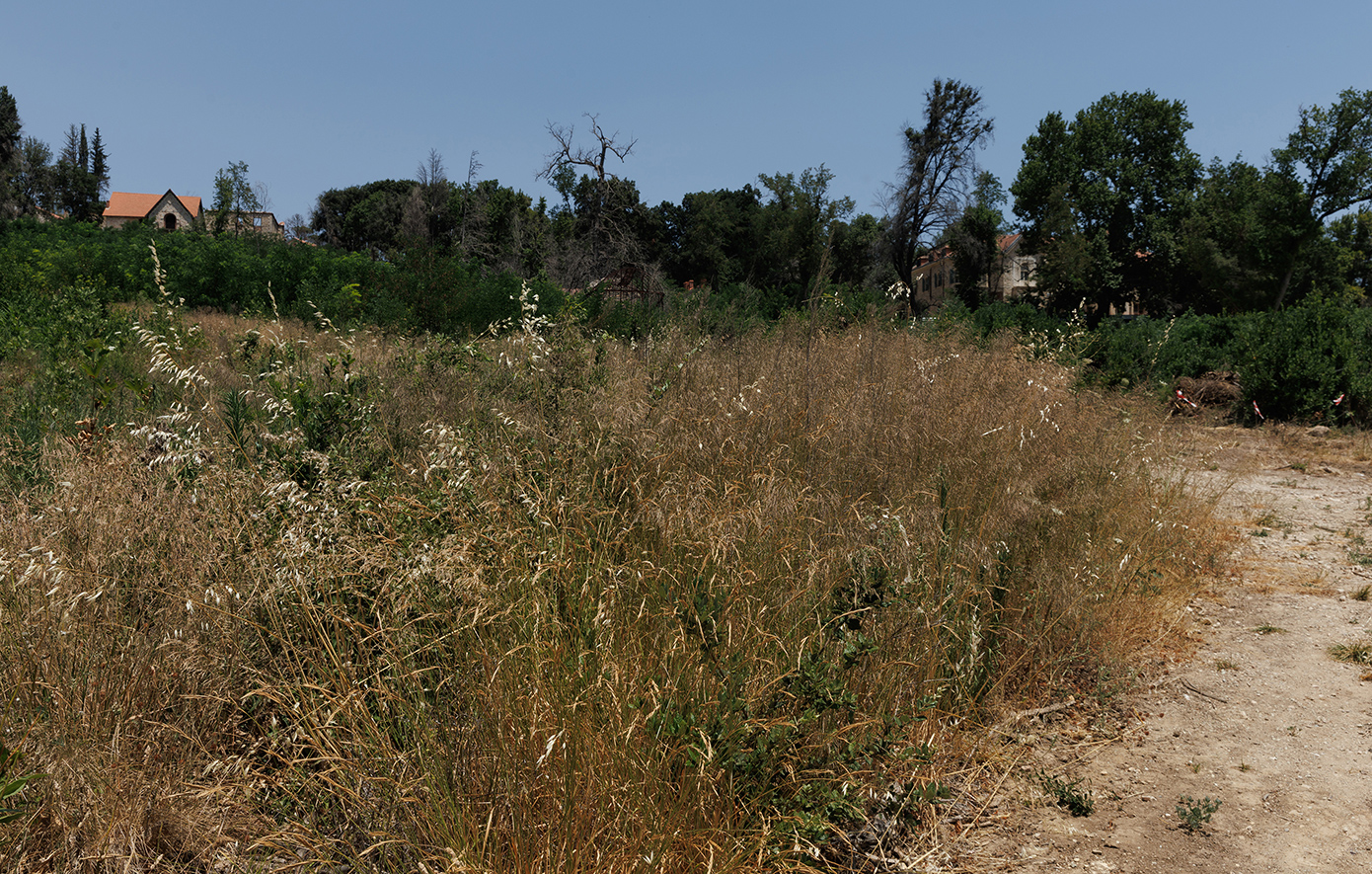 Ακαθάριστα οικόπεδα: Τέλος χρόνου για την υποβολή δηλώσεων &#8211; Υψηλά πρόστιμα για όσους δεν την κάνουν