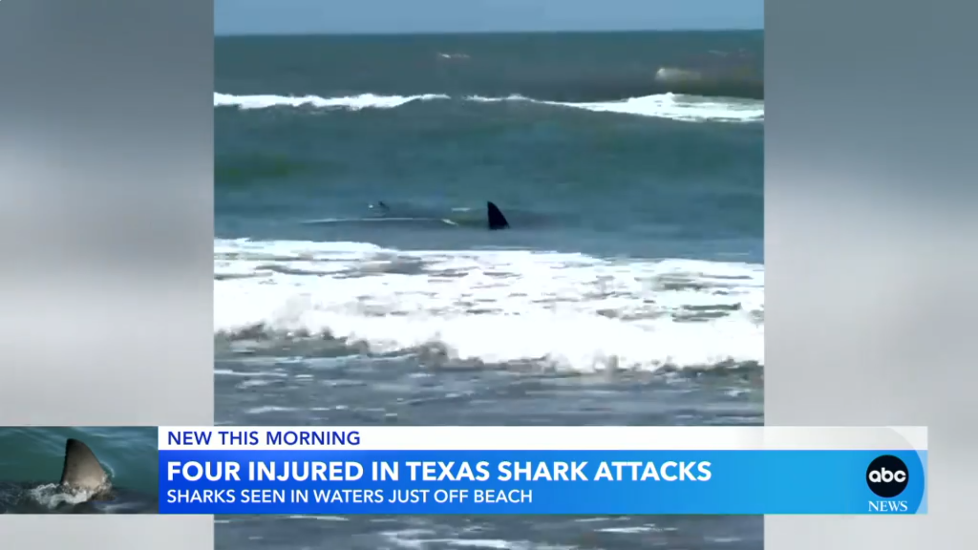 Εφιάλτης σε παραλία του Τέξας: Καρχαρίας τραυμάτισε τέσσερα άτομα
