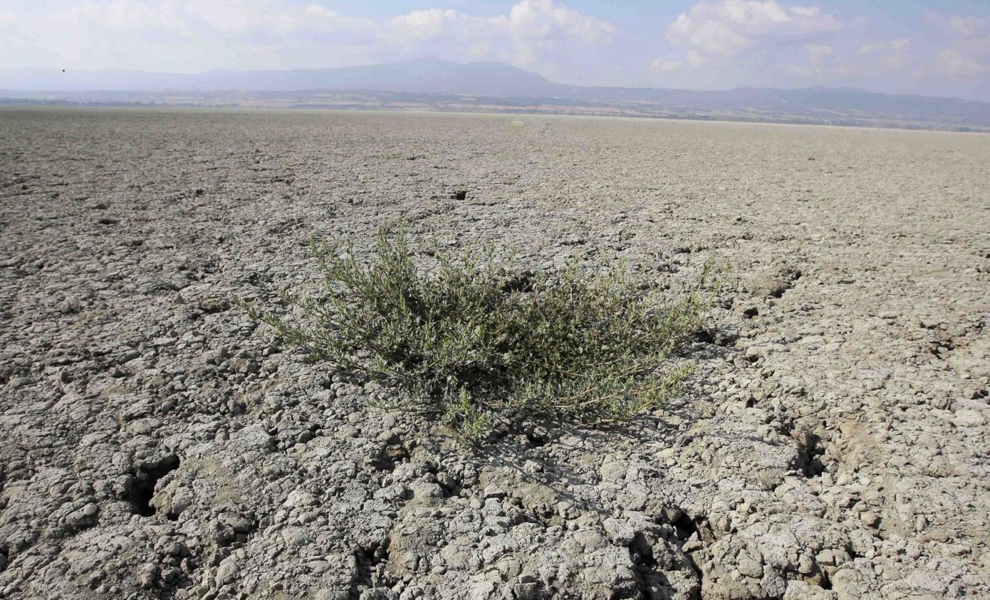 Μεγάλος κίνδυνος για γενικευμένη ξηρασία στην Κρήτη &#8211; «Καμπανάκι» από τους ειδικούς