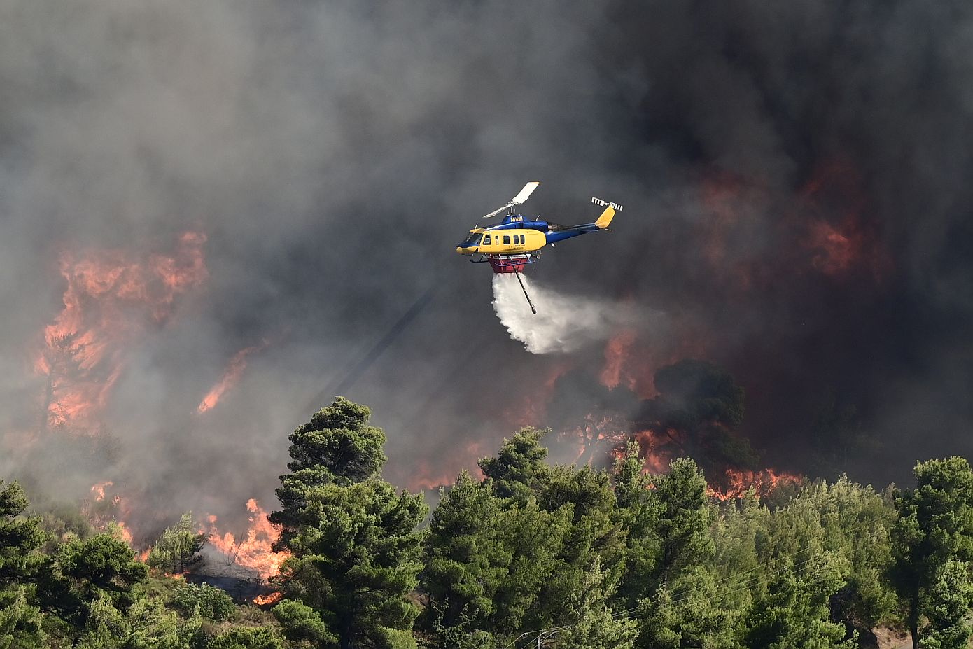 Η φωτιά από το Βαρνάβα κατευθύνεται προς τη Λίμνη του Μαραθώνα: Ζημιές σε πολλά σπίτια &#8211; Μηνύματα του 112 για εκκενώσεις