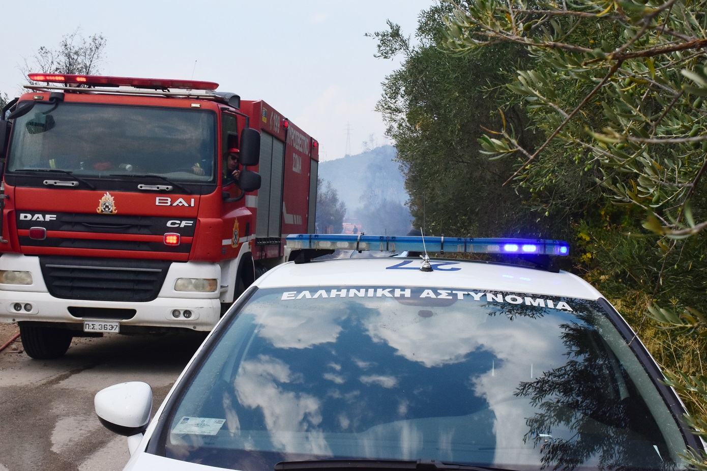 Σύλληψη άνδρα για δυο φωτιές στη Ζάκυνθο &#8211; Είχε κατηγορηθεί ξανά για εμπρησμό