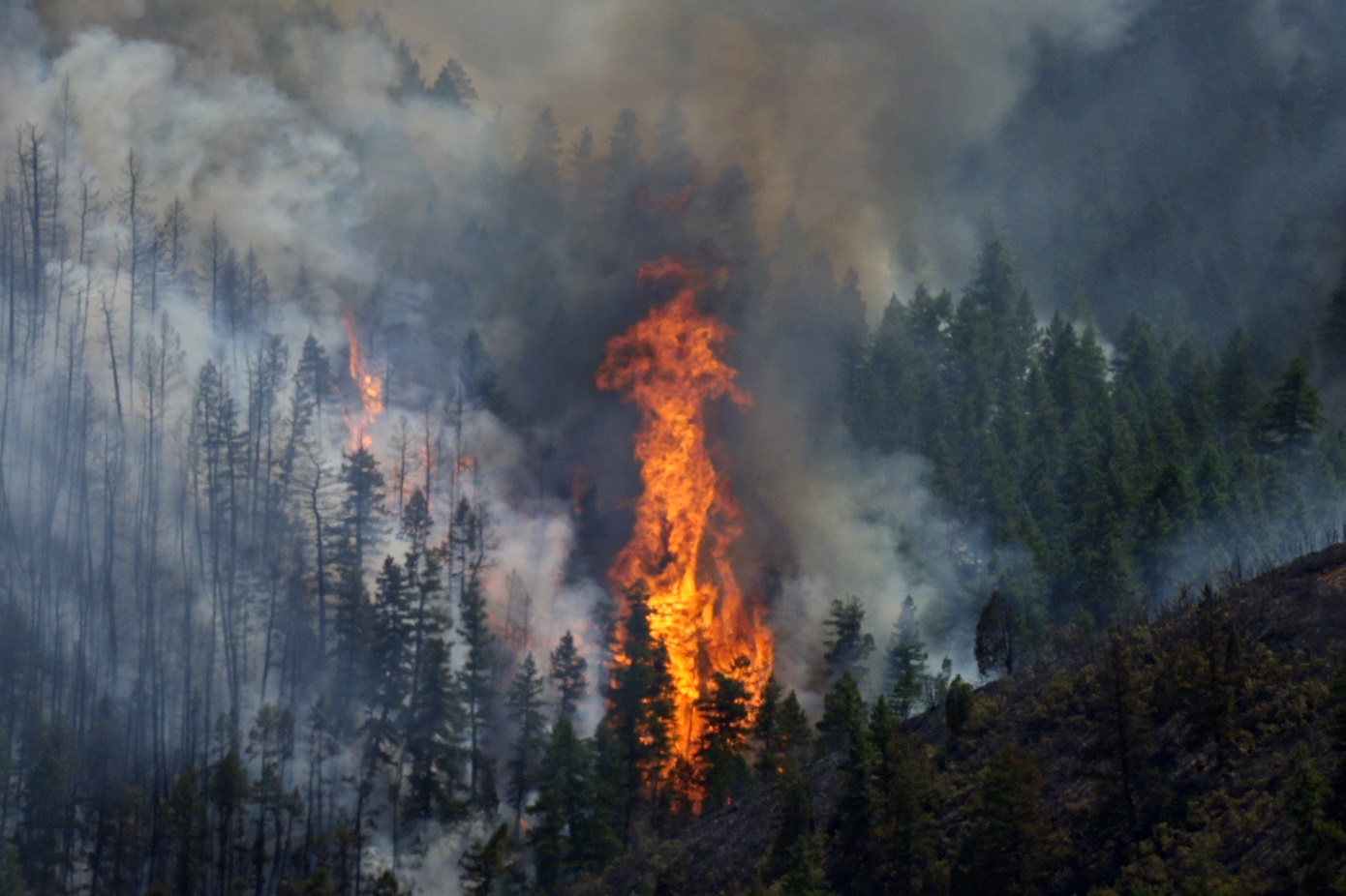 Μαίνονται οι πυρκαγιές στις ΗΠΑ – Ένας νεκρός σε φωτιά στο Κολοράντο