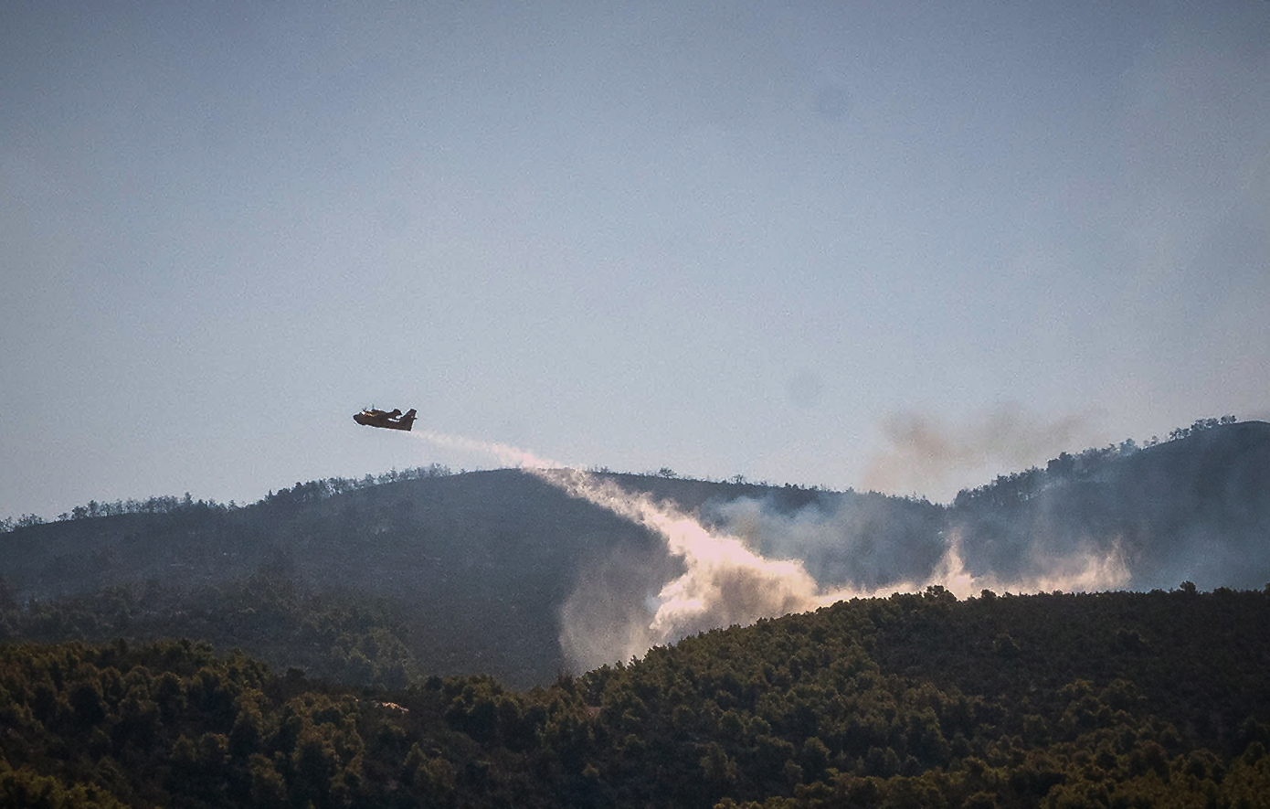 Πυρκαγιά σε αγροτοδασική έκταση στην Τανάγρα