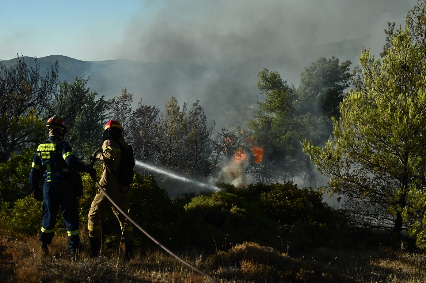 Ξέσπασαν 49 πυρκαγιές το τελευταίο 24ωρο σε όλη τη χώρα