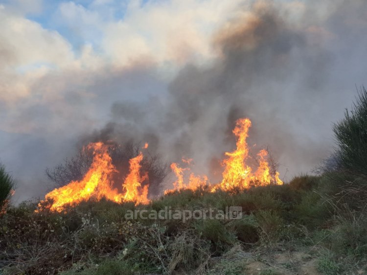 Φωτιά στο χωριό Άγιος Βασίλης Αρκαδίας – Κινητοποιήθηκαν ισχυρές δυνάμεις της πυροσβεστικής