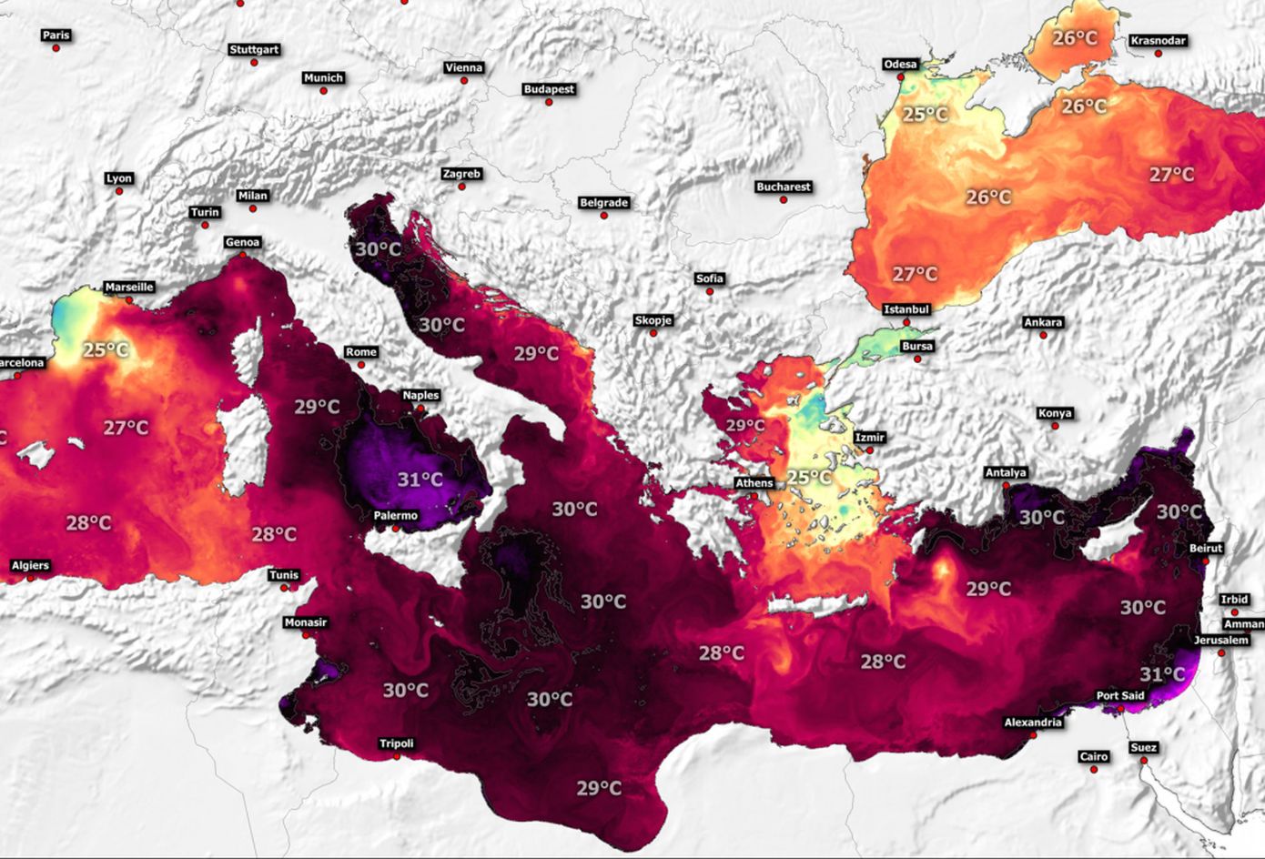 Λεοντόψαρα και λαγοκέφαλοι περνούν από την Ερυθρά Θάλασσα στη Μεσόγειο – Όλο και πιο ζεστή η θάλασσα