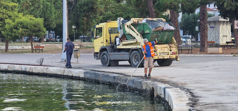 Έκτακτη σύσκεψη για τα χιλιάδες νεκρά ψάρια στο λιμάνι του Βόλου