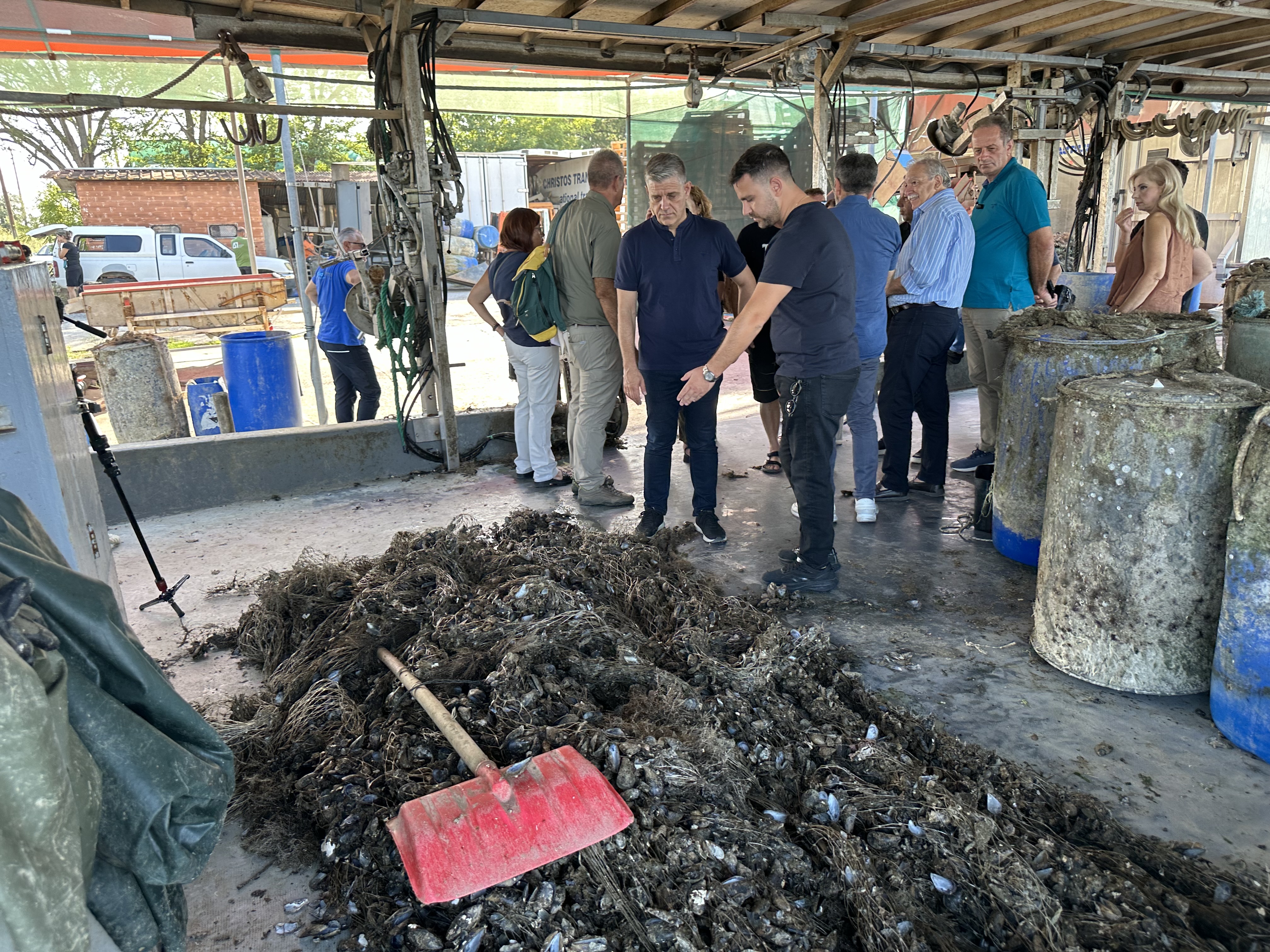 Θεσσαλονίκη: Ολοκληρωτική καταστροφή στις μυδοκαλλιέργειες του Θερμαϊκού Κόλπου