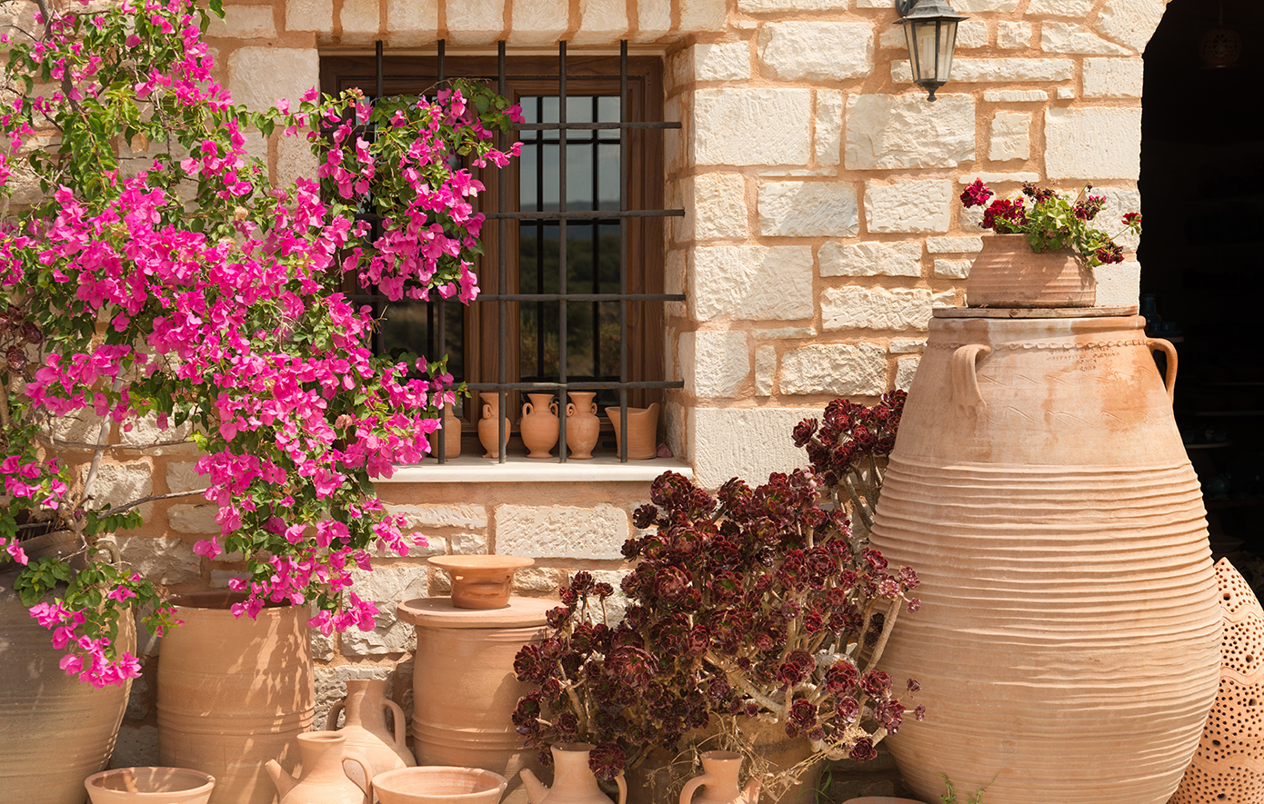 Μαργαρίτες Κρήτη Μαργαρίτες Κρήτη