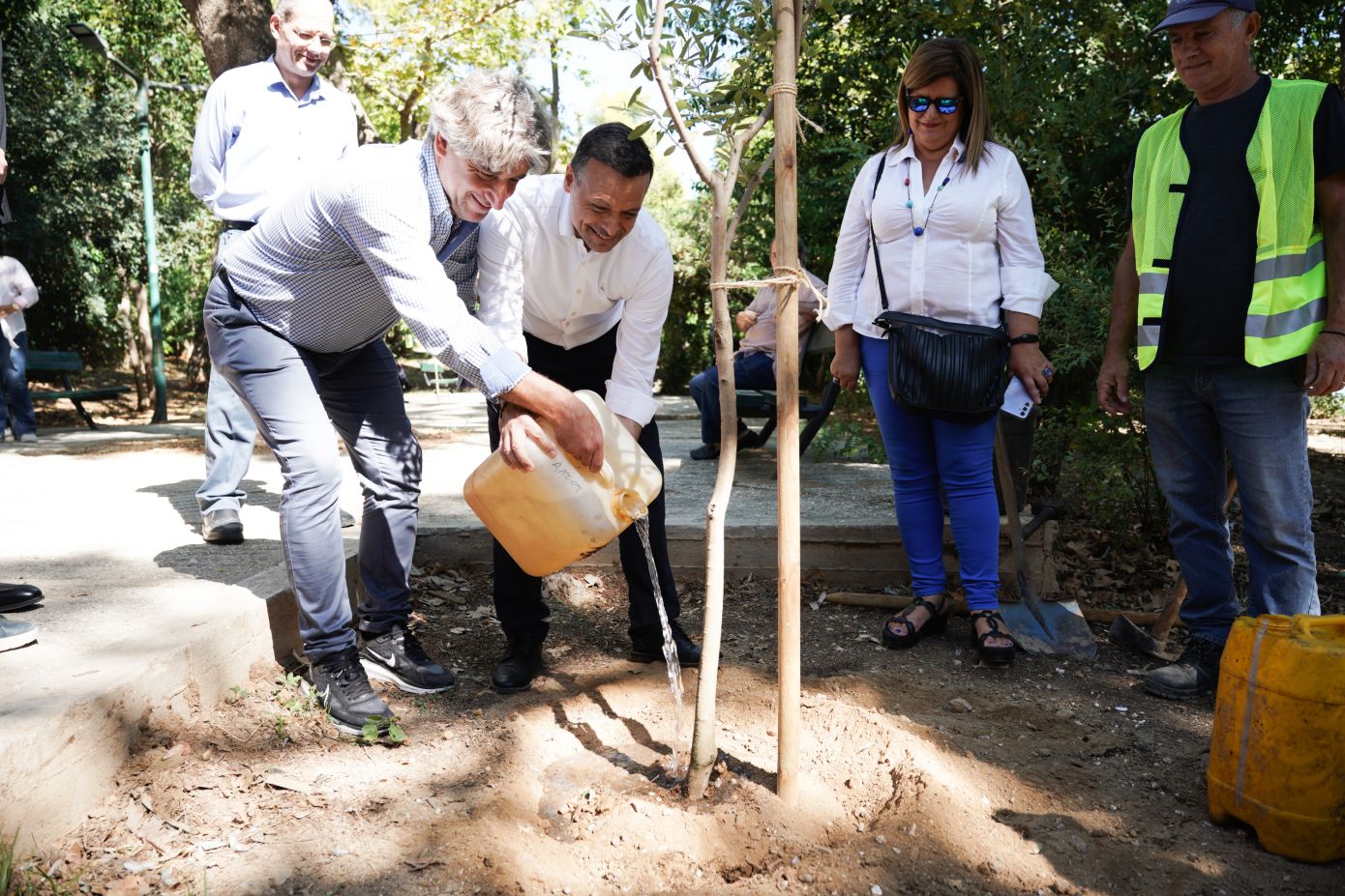 Φυτεύτηκαν 3.000 νέα δέντρα στην Αθήνα από την αρχή της χρονιάς