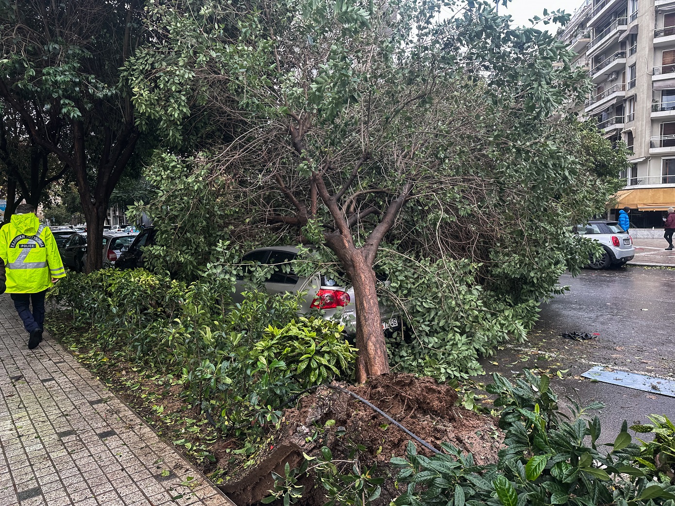 Κλειστά και τα νεκροταφεία στον δήμο Θεσσαλονίκης &#8211; «Δίνουμε μια άνιση μάχη με την κακοκαιρία» λέει ο Στέλιος Αγγελούδης