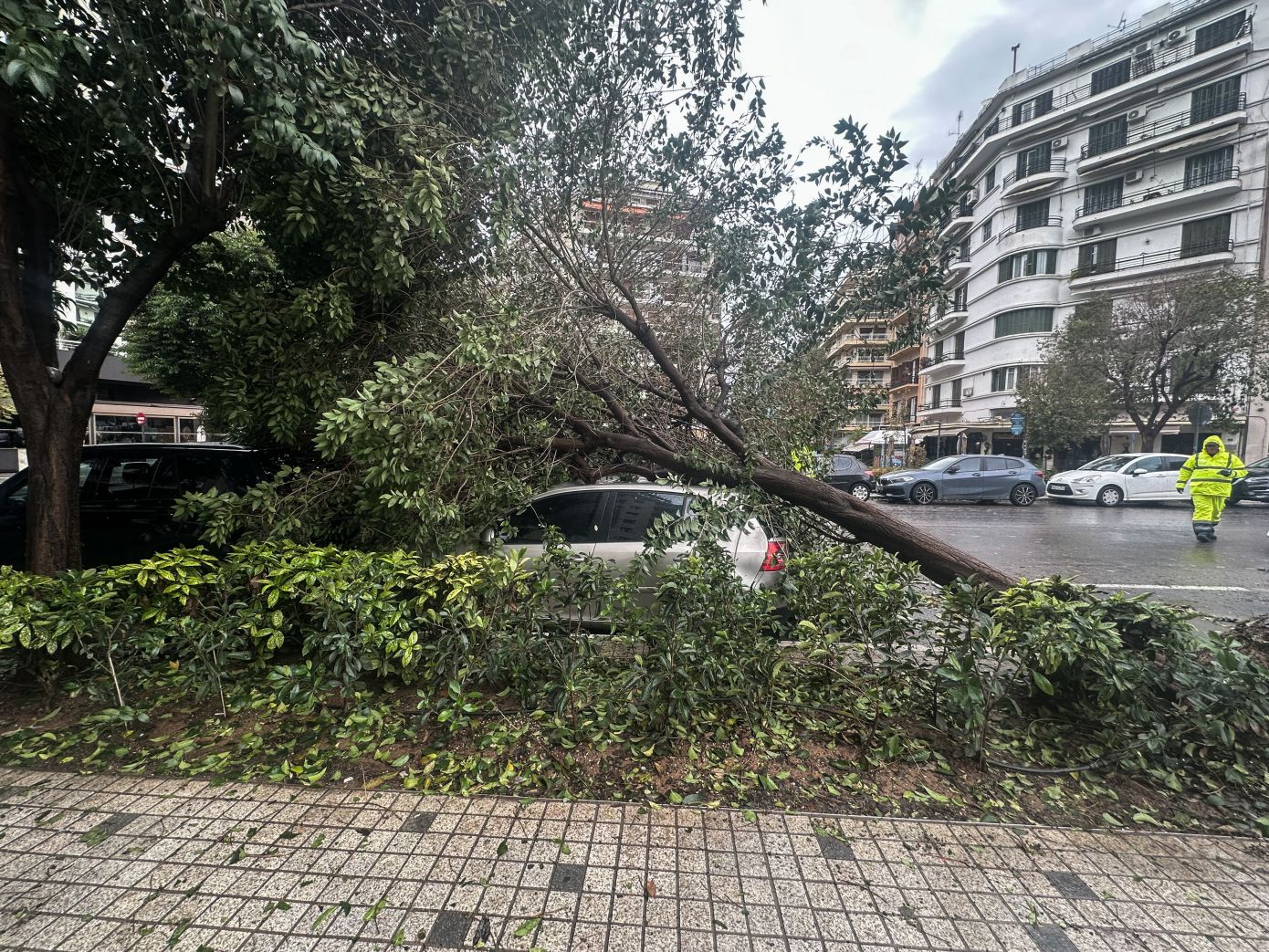 Κακοκαιρία Bora: Ολοκληρώνονται οι εργασίες αποκατάστασης των ζημιών από τον ΔΕΔΔΗΕ