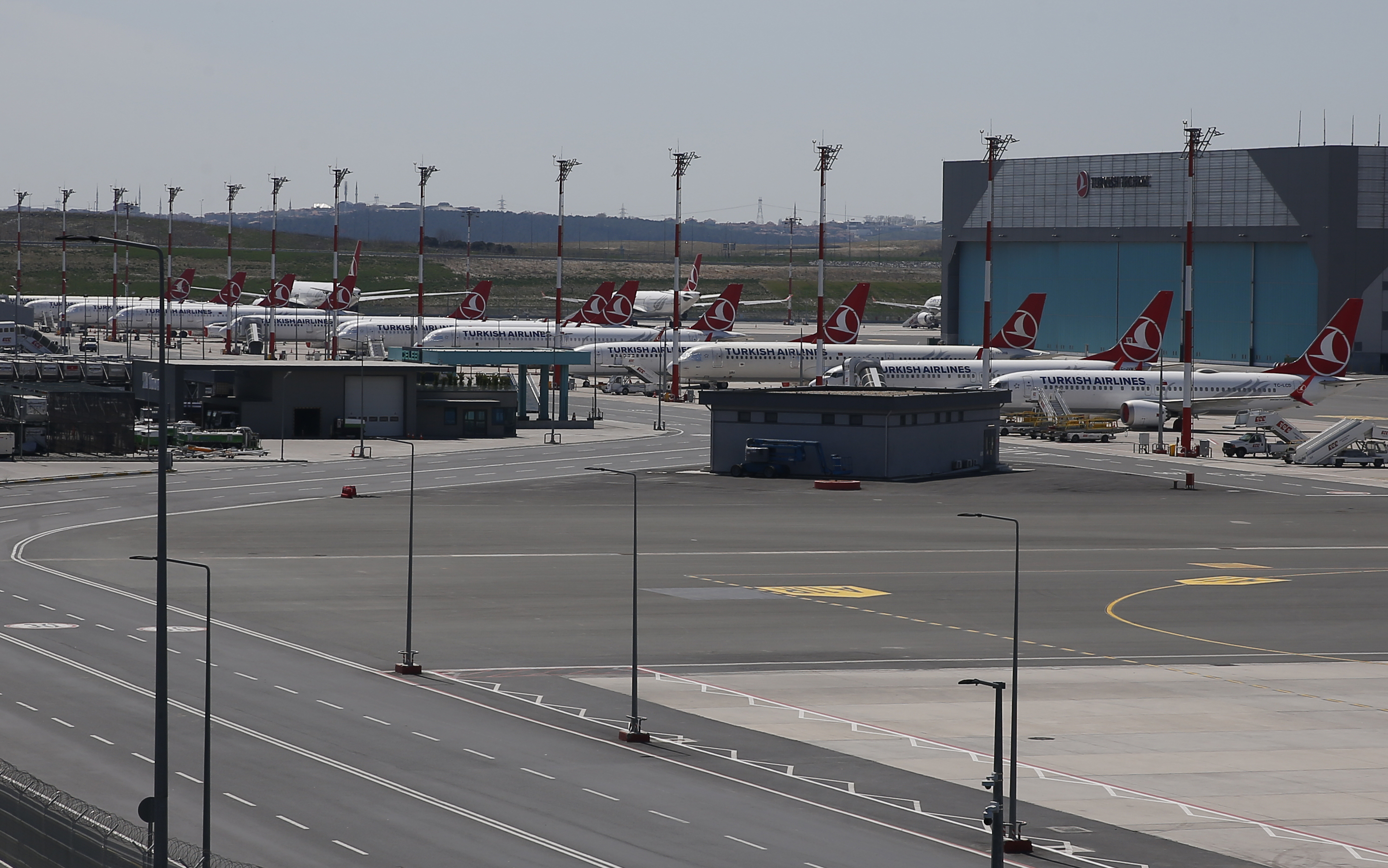 Οι πτήσεις της Turkish Airlines είναι γεμάτες κοριούς, καταγγέλλουν επιβάτες