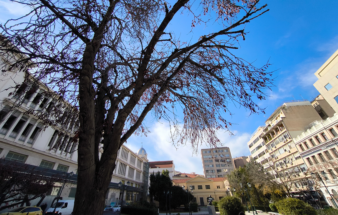 Υψηλές θερμοκρασίες και ηλιοφάνεια σήμερα και το Σαββατοκύριακο &#8211; Πότε αλλάζει το σκηνικό και έρχεται τσουχτερό κρύο