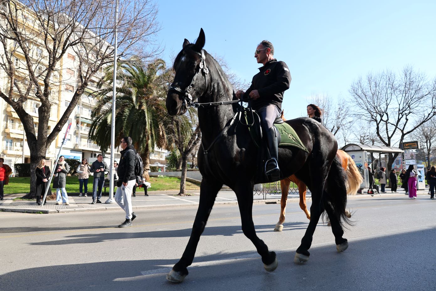 Δεκάδες άλογα κάλπασαν στην Τσιμισκή &#8211; Υπέροχο θέαμα στο πλαίσιο της έκθεσης «Zootechnia 2025»