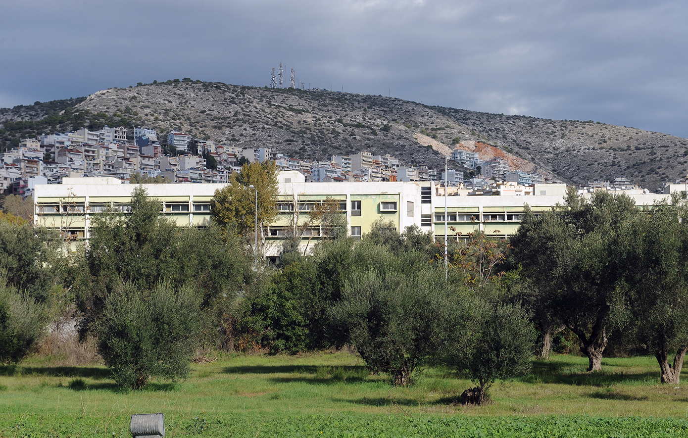 Νέα στοιχεία για το άγριο έγκλημα στο Δαφνί &#8211; Δολοφονία στην Κέρκυρα είχε διαπράξει ο 47χρονος πριν μεταφερθεί στο ψυχιατρείο