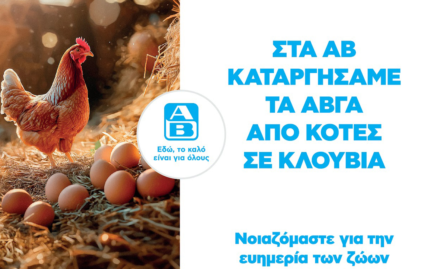 Cage-free αυγά στην ΑΒ Βασιλόπουλος: Η πρώτη ελληνική αλυσίδα σούπερ μάρκετ που καταργεί τα αυγά κλωβοστοιχίας