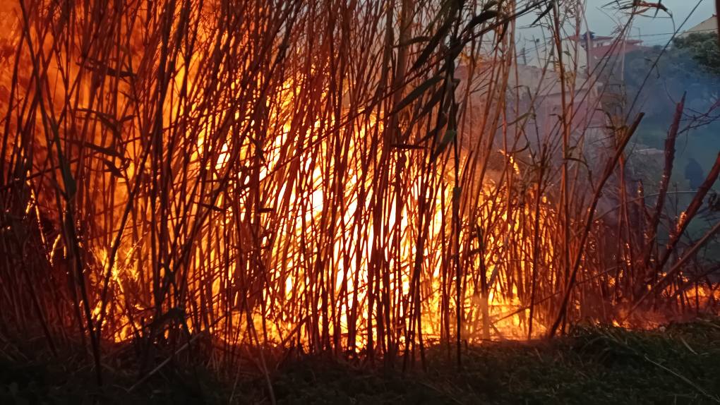 Φωτιά στο Κοκκάρι Σάμου – Άμεση κινητοποίηση της πυροσβεστικής