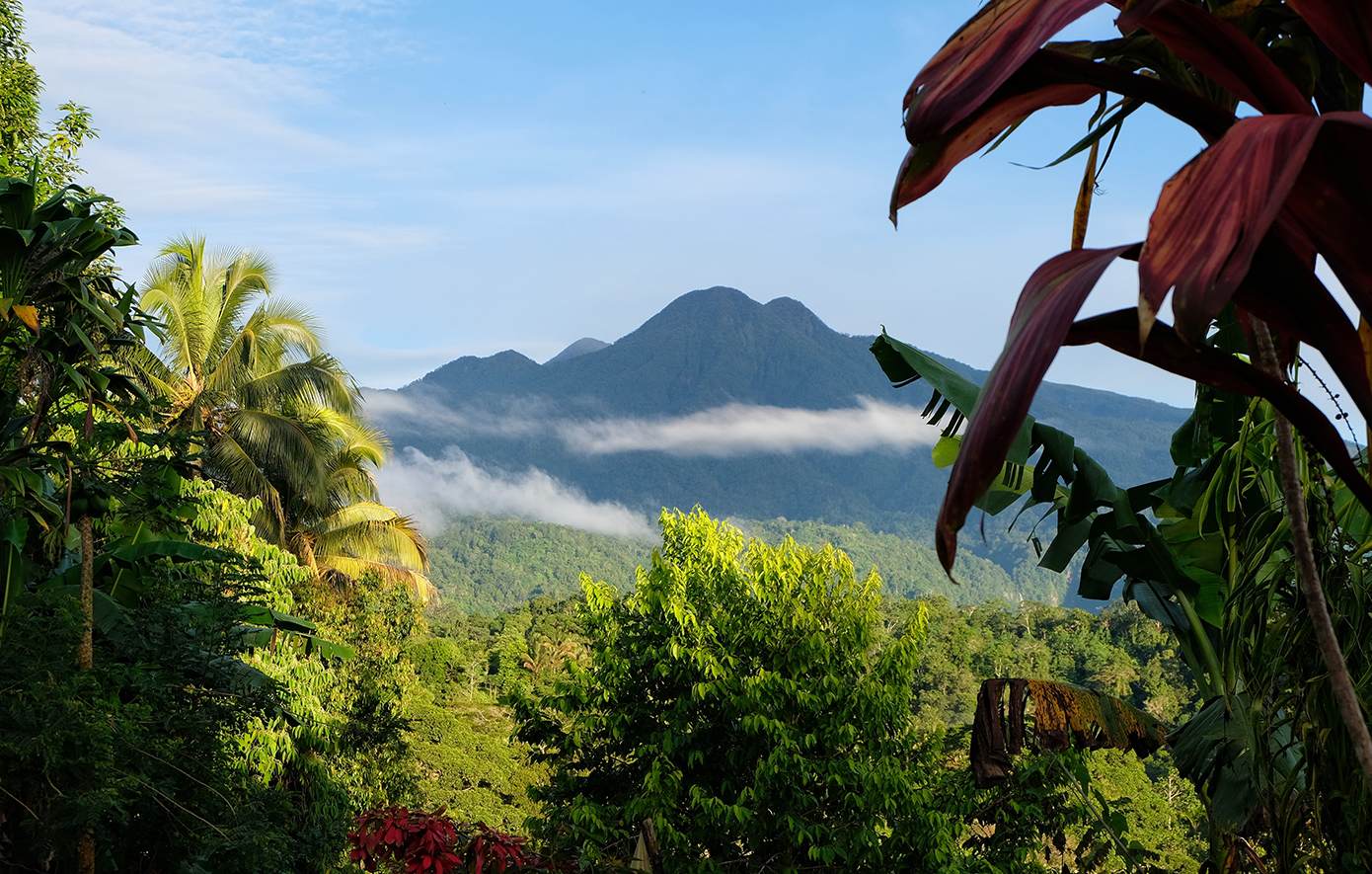 Εξωτικό νησί Εξωτικό νησί