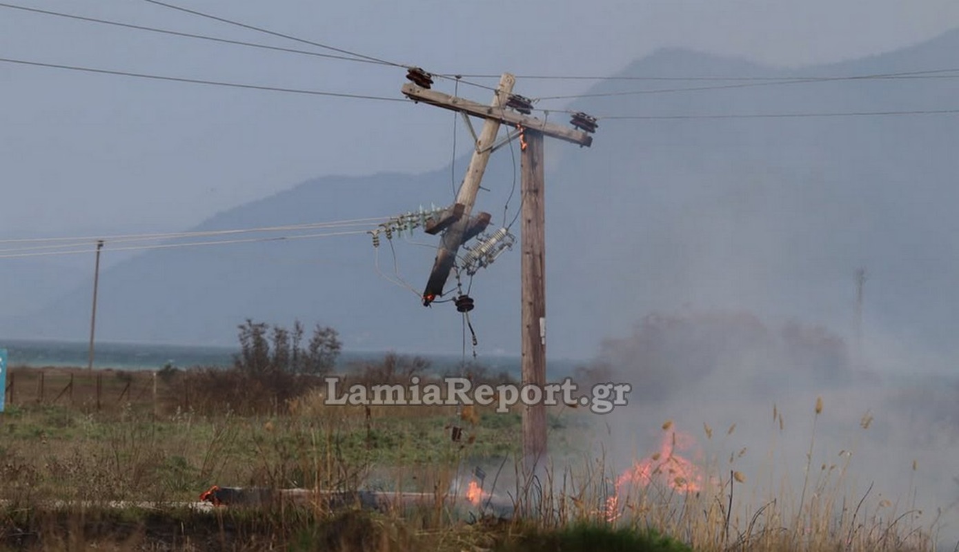 Φθιώτιδα: Πυρκαγιά κατέστρεψε ηλεκτρικό στύλο στην περιοχή της Σκάρφειας