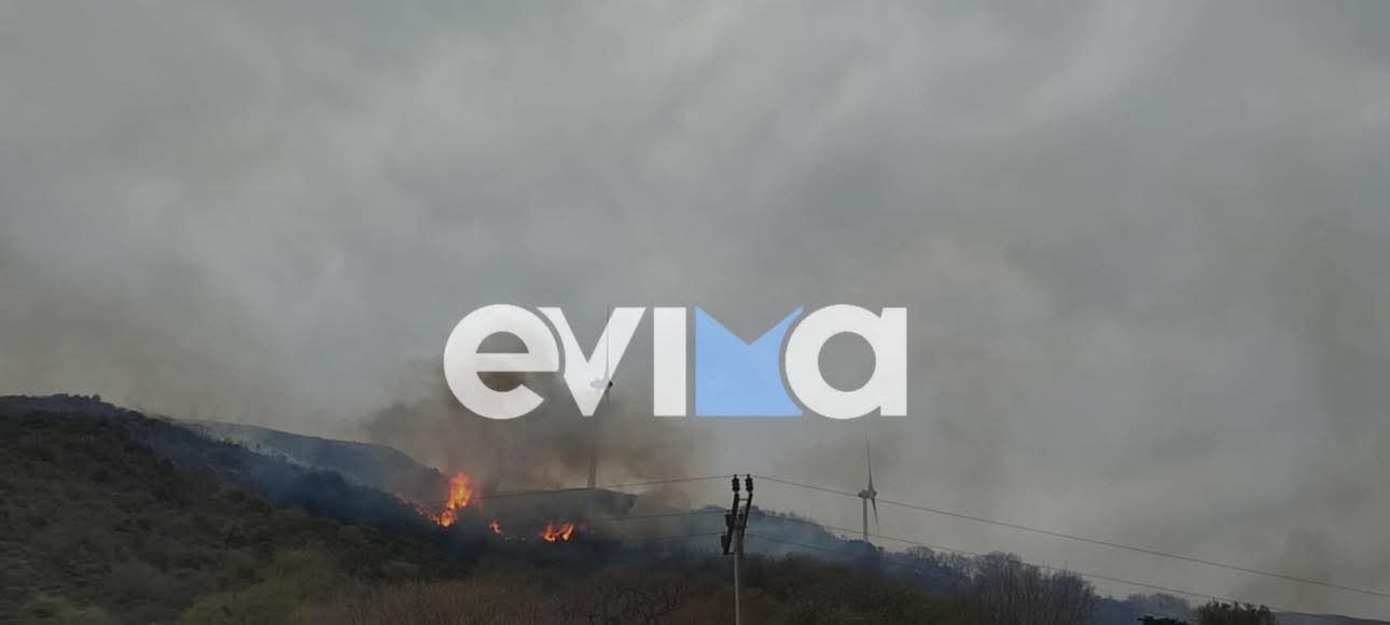 Φωτιά στην Κάρυστο: Ολονύχτια μάχη με τις φλόγες &#8211; Ήχησε το 112