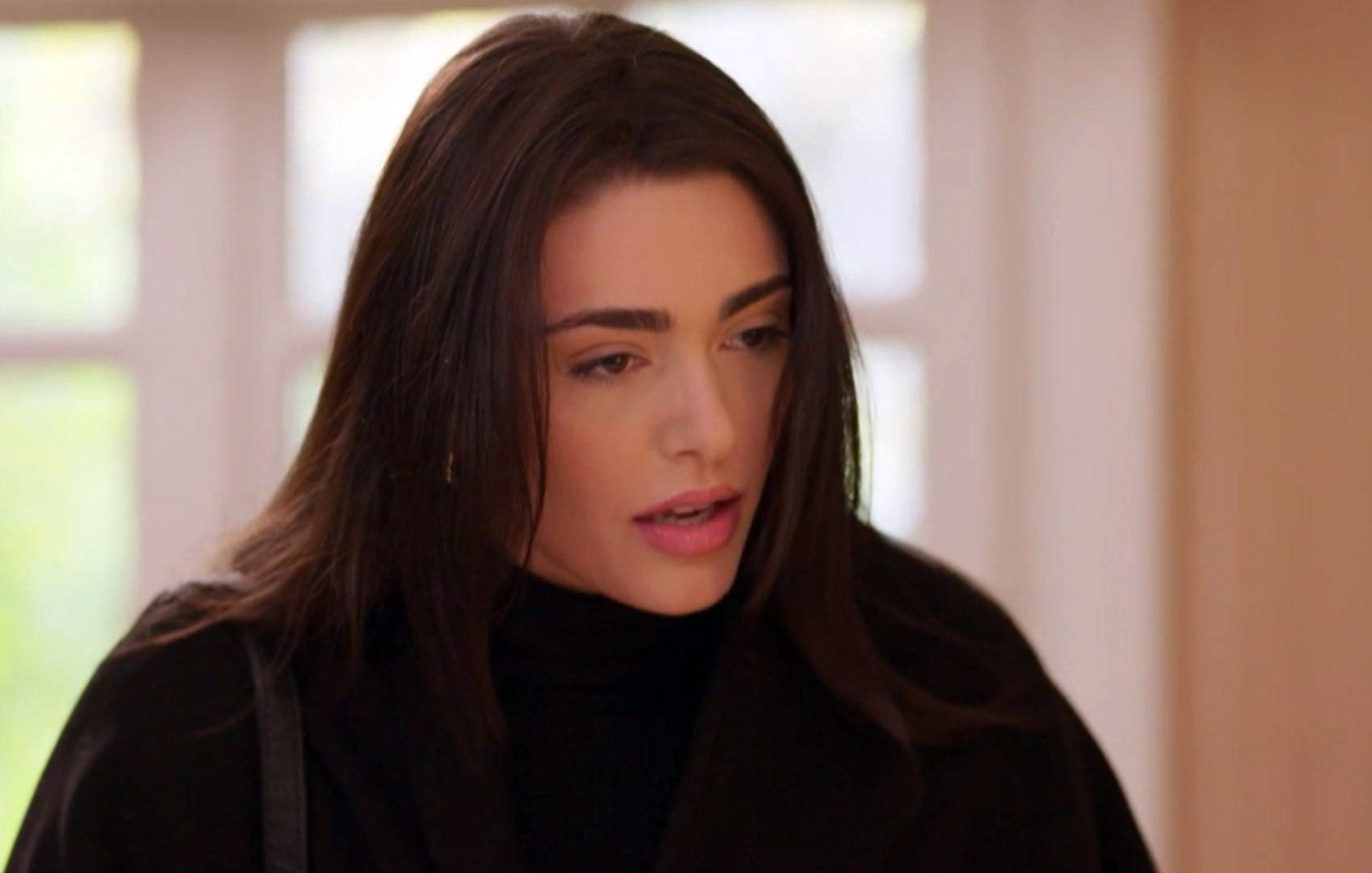 Η γη της ελιάς Η γη της ελιάς