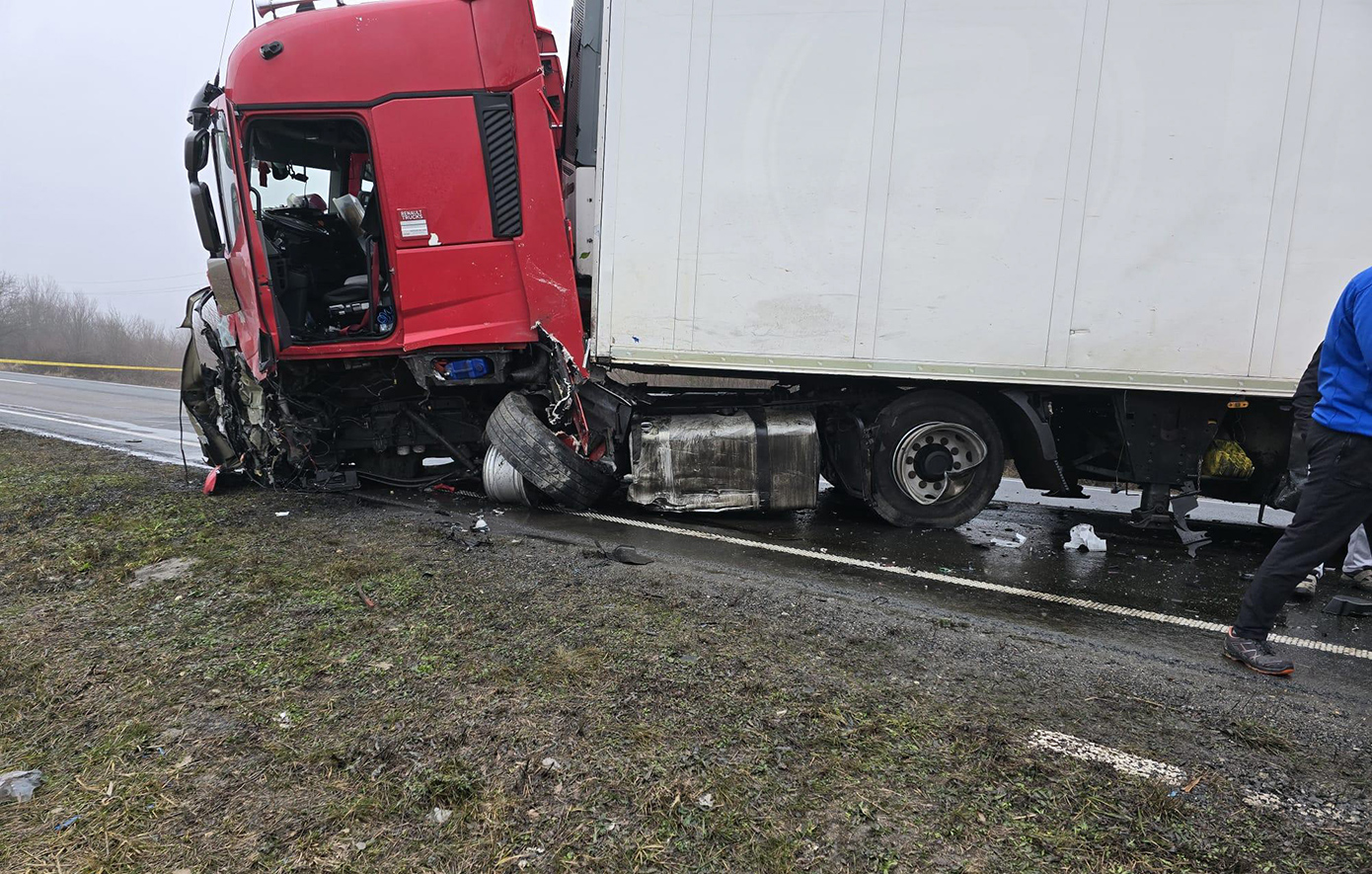 Ταυτοποιήθηκαν οι σοροί των επτά νεκρών οπαδών του ΠΑΟΚ στο τροχαίο στη Ρουμανία Ταυτοποιήθηκαν οι σοροί των επτά νεκρών οπαδών του ΠΑΟΚ στο τροχαίο στη Ρουμανία