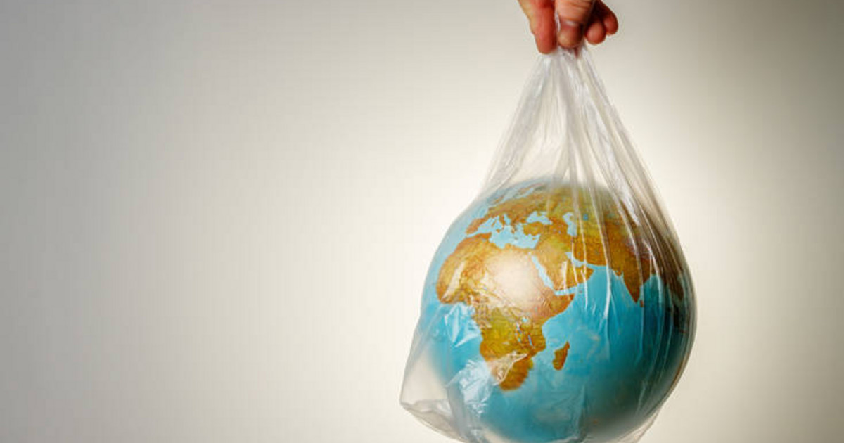 Παγκόσμια Μέρα κατά της πλαστικής σακούλας: Πόσο μειώθηκε η χρήση της -  Newsbeast