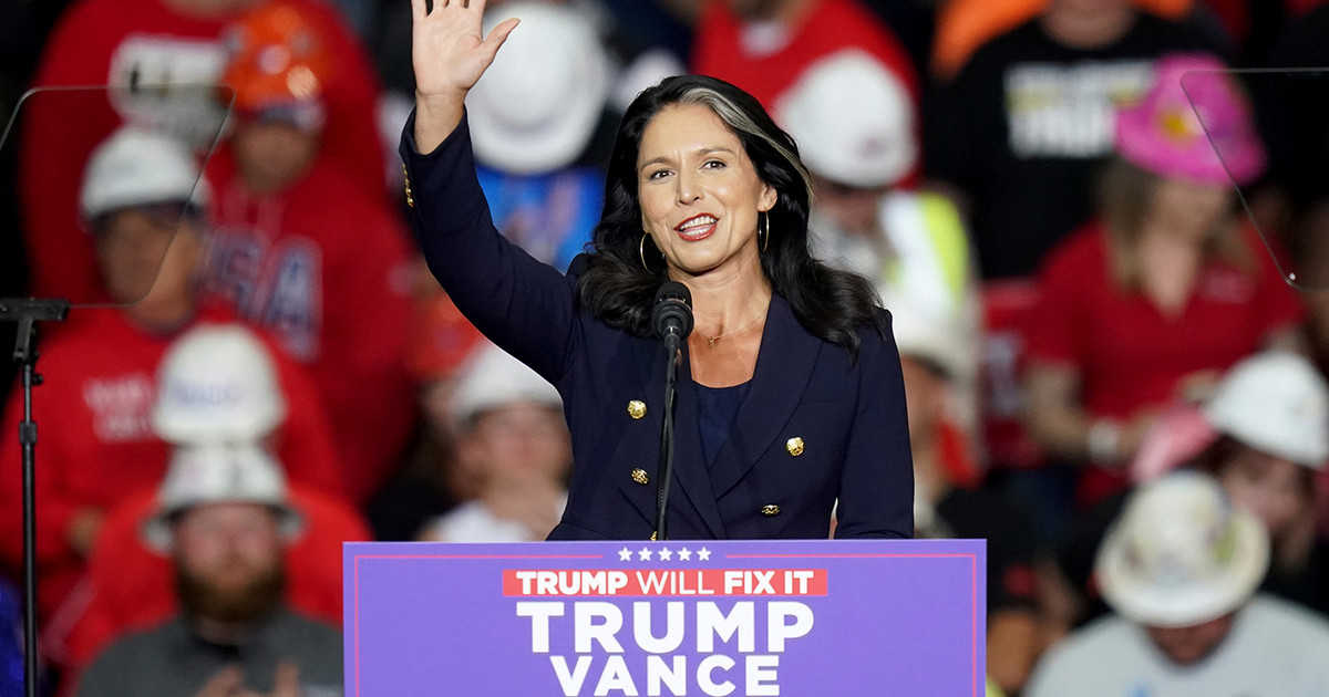 Tulsi Gabbard: Who Is Trump's Choice, Appointed Director Of The ...