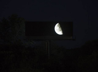 this_man_bought_digital_advertising_space_on_massive_billboards_and_used_it_to_bring_nature_to_the_masses_640_04