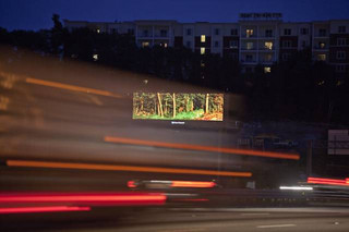 this_man_bought_digital_advertising_space_on_massive_billboards_and_used_it_to_bring_nature_to_the_masses_640_05
