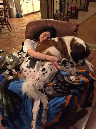 dogs-and-personal-space-will-never-exist-together-in-this-universe-32-photos-33