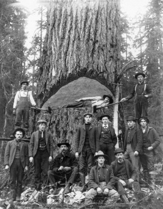 american_loggers_02