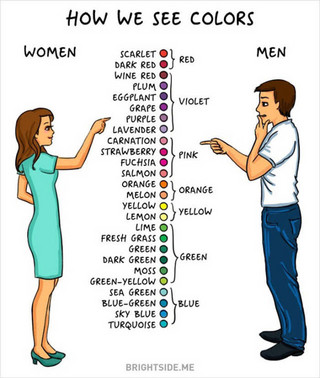 an_illustrated_guide_to_the_quirky_differences_between_men_and_women_640_high_07