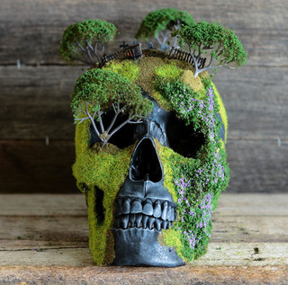 bonsai-skull-tree-jack-dust-32