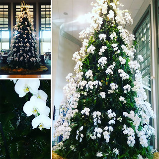 christmas_tree_decorating_13