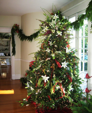 christmas_tree_decorating_16